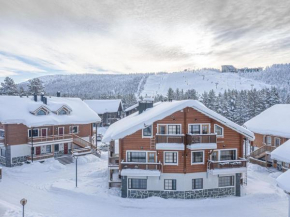 Holiday Home Alppilevi b3 by Interhome Kittilä